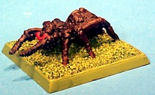 rhff49spider.jpg (14083 bytes)