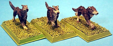 rhorionhounds.jpg (29878 bytes)